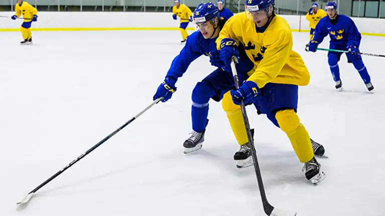 Press På Puckhållaren